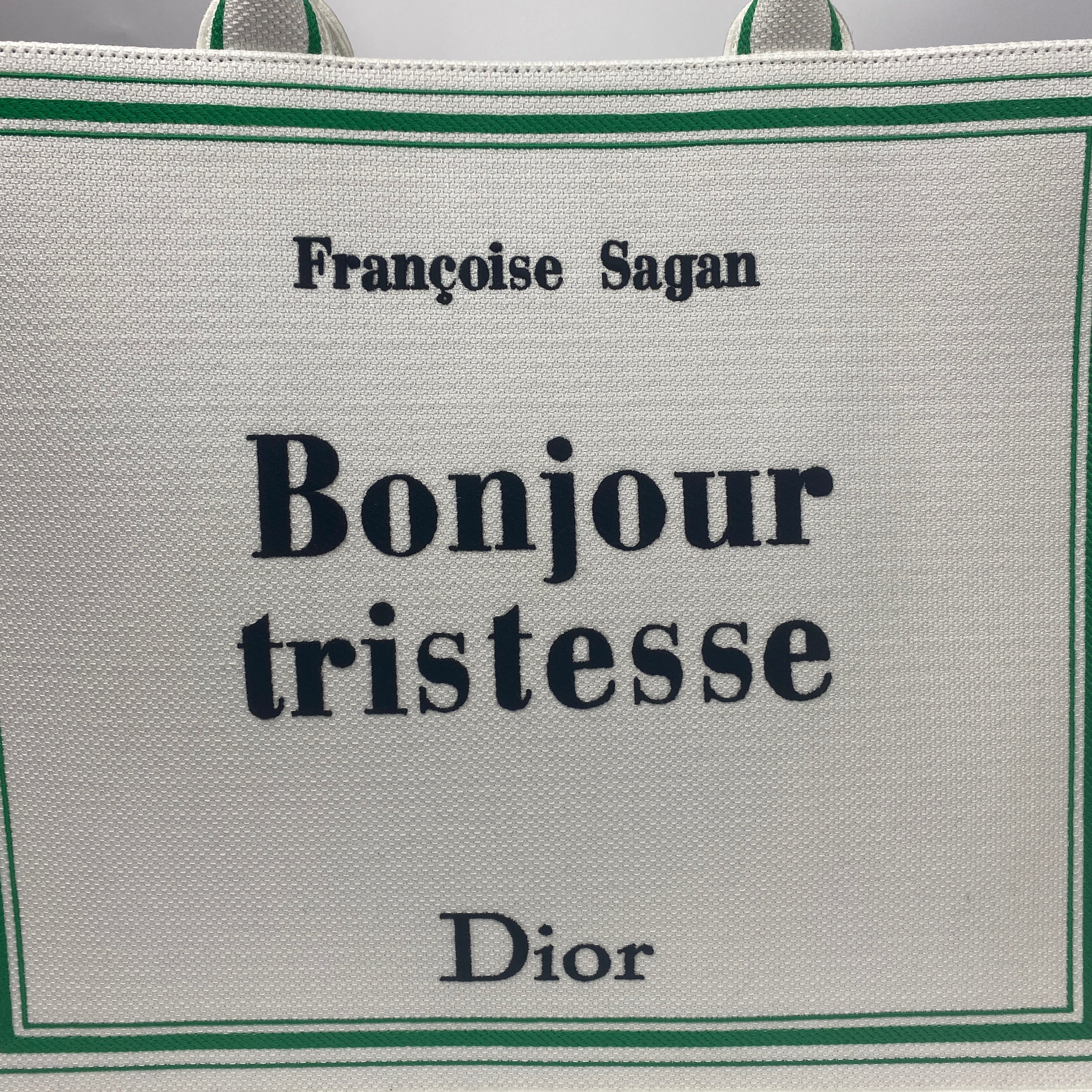 Dior New & Rare Bonjour Tristesse Large Book Tote Bag