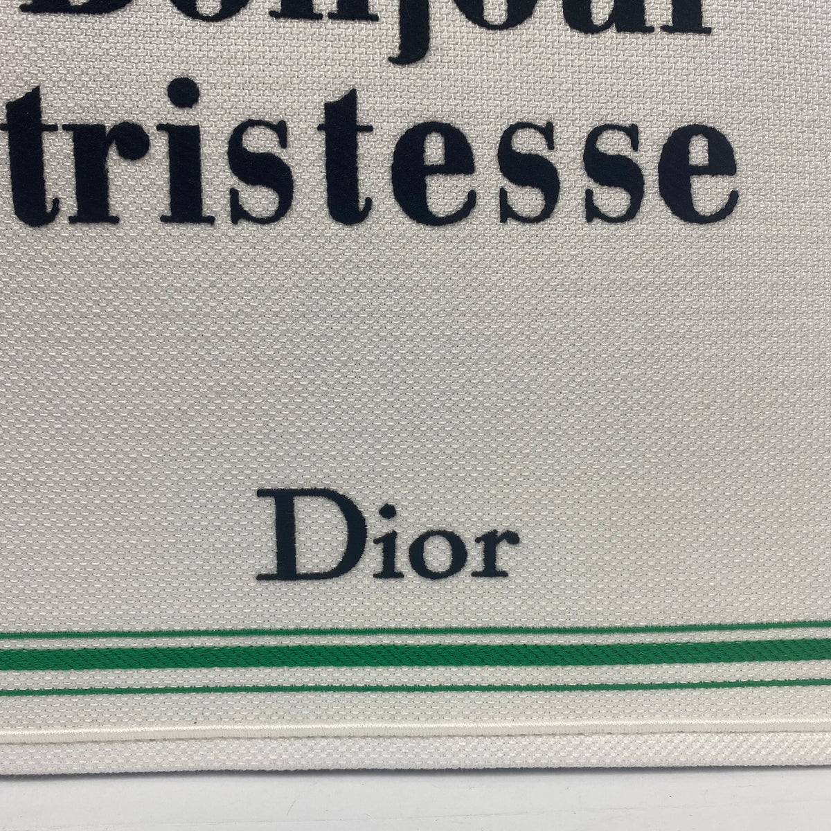 Dior New & Rare Bonjour Tristesse Large Book Tote Bag