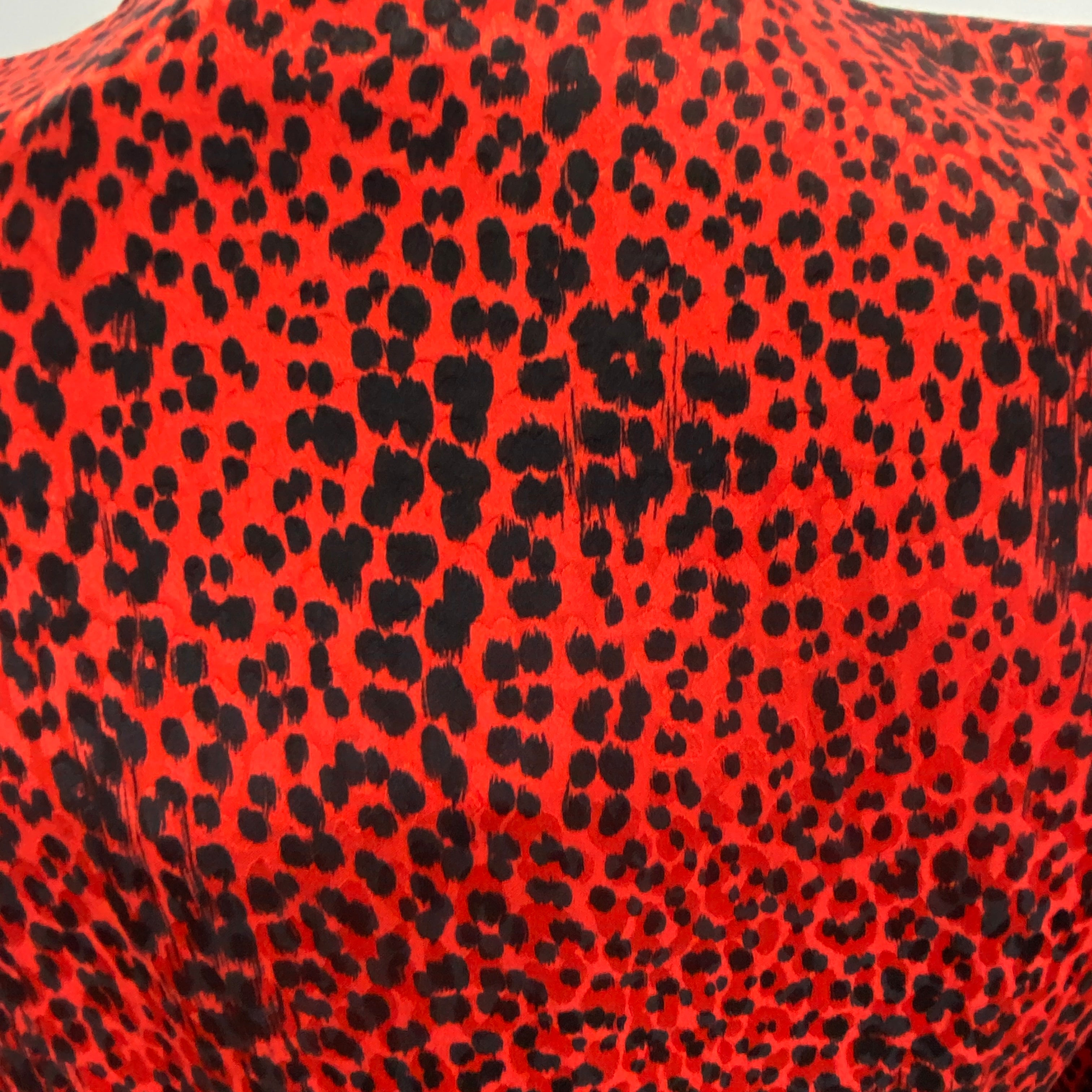 Alessandra Rich £1500 Ruby Cheetah Silk Maxi Dress XS