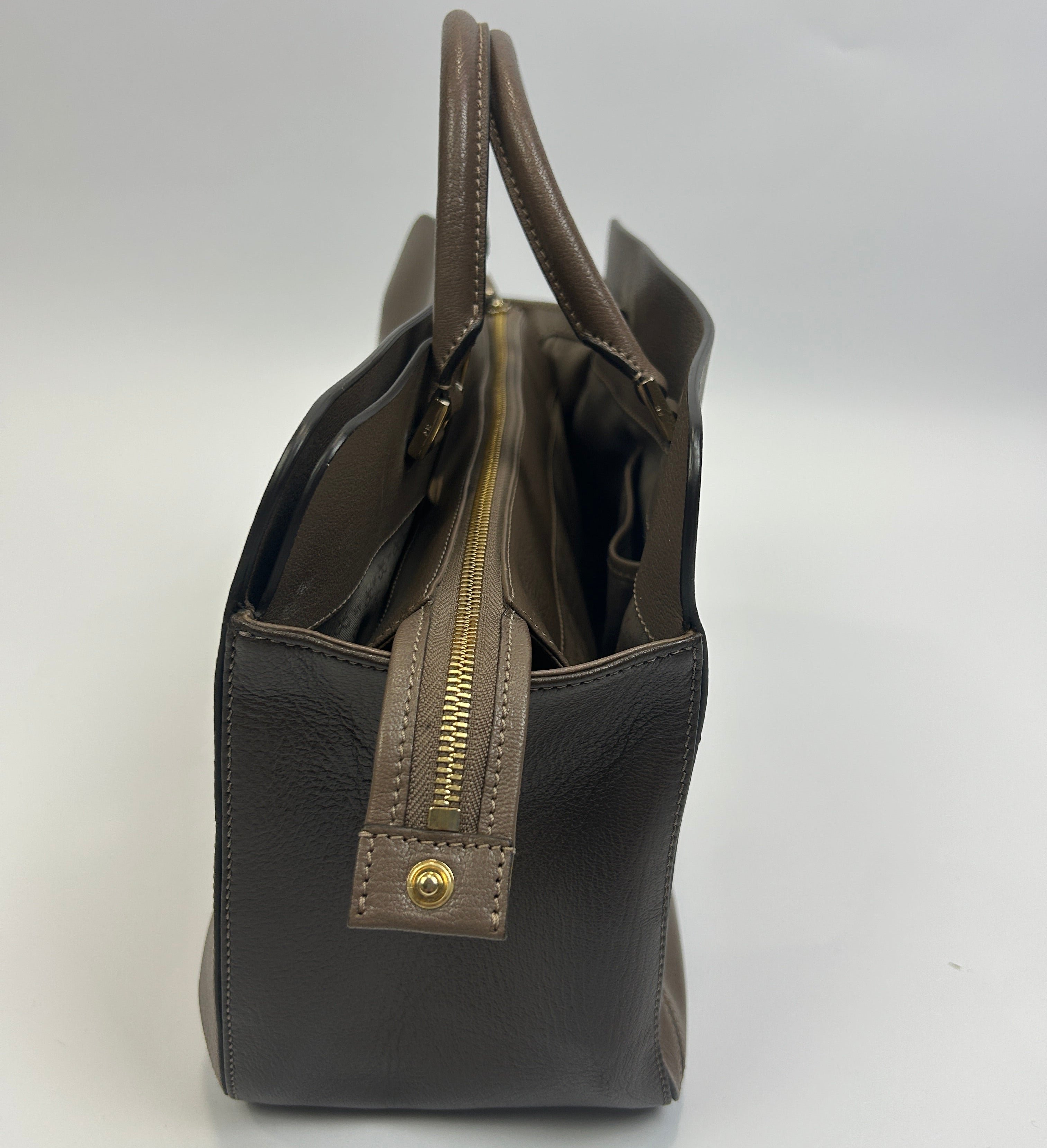 Anya Hindmarch Taupe & Cocoa Calf Albion Tote Bag