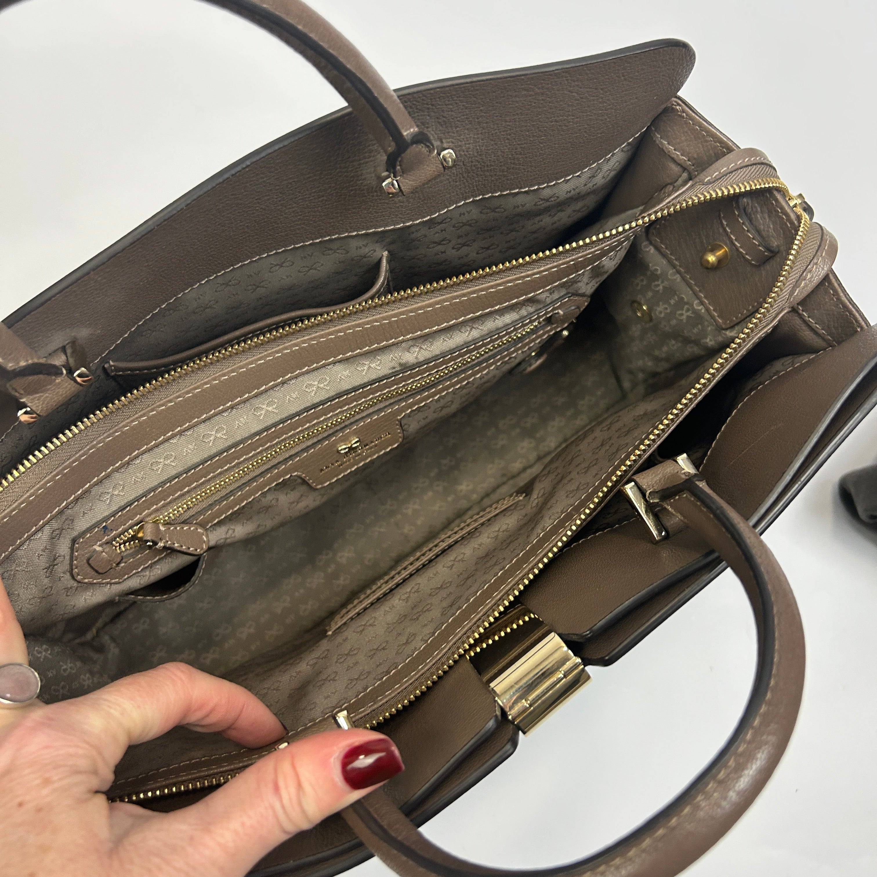 Anya Hindmarch Taupe & Cocoa Calf Albion Tote Bag