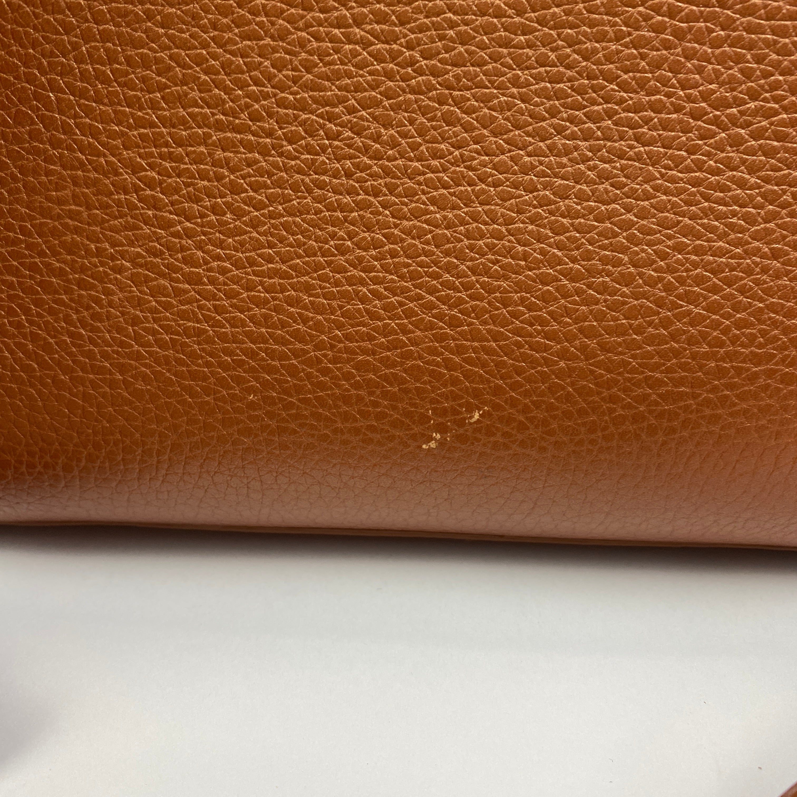 Longchamp New Madeleine Brown Leather Shoulder Bag
