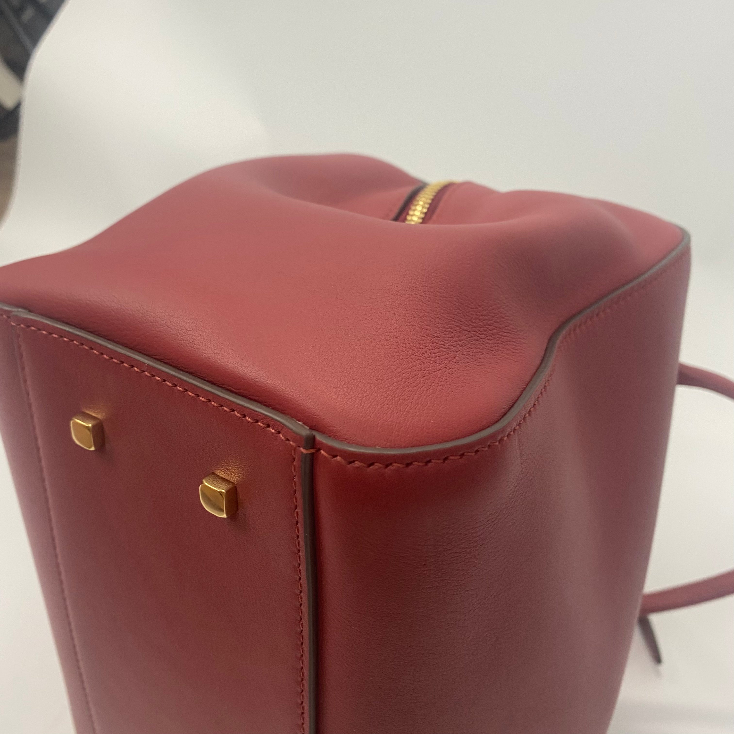 Anya Hindmarch £1650 Damson Calf Seaton Crossbody Bag