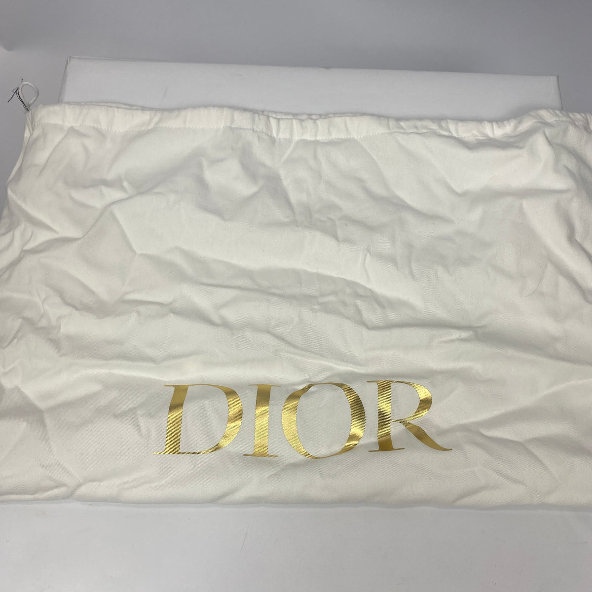 Dior New & Rare Bonjour Tristesse Large Book Tote Bag