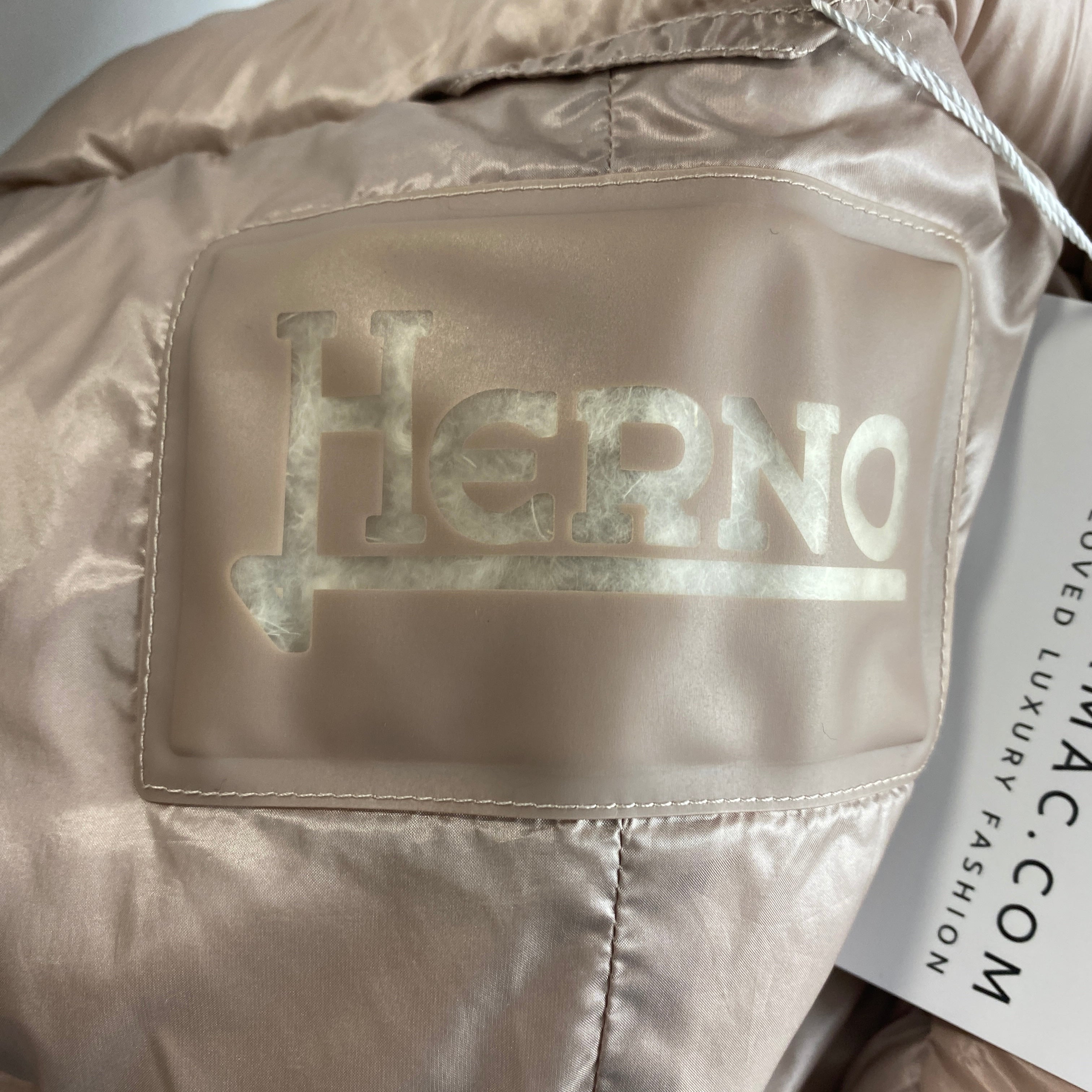 Herno £595 Oyster Padded Down Jacket XS