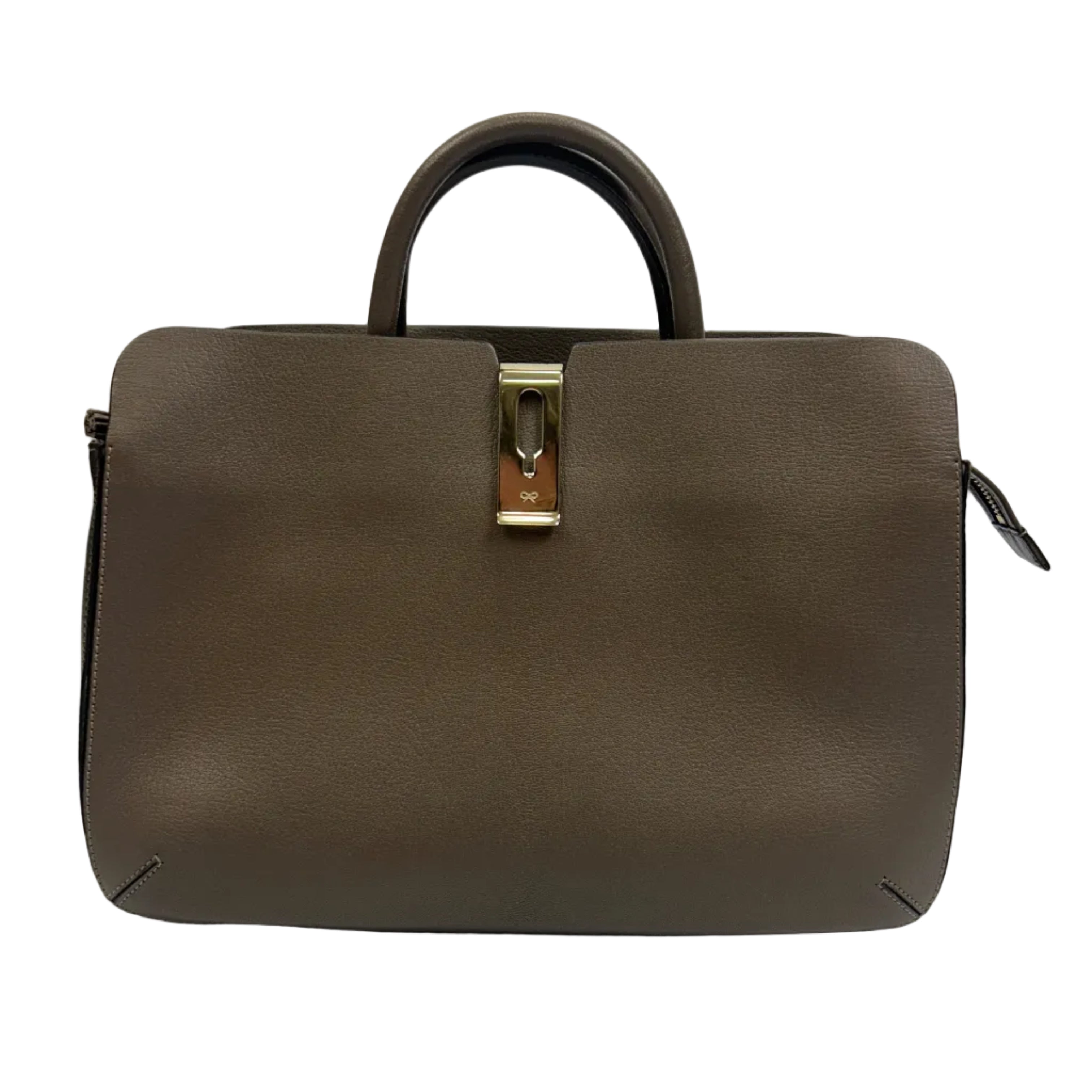 Anya Hindmarch Taupe & Cocoa Calf Albion Tote Bag