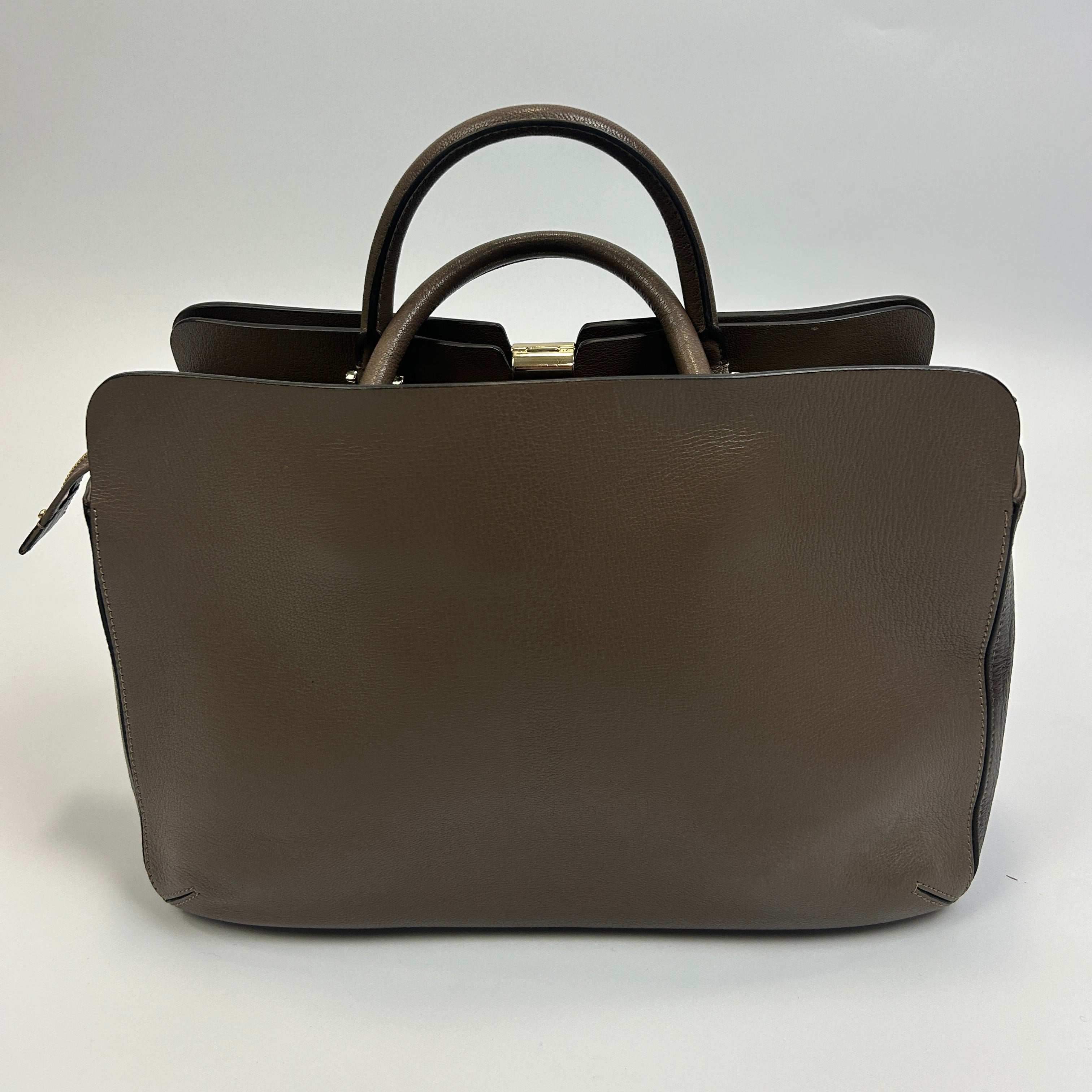 Anya Hindmarch Taupe & Cocoa Calf Albion Tote Bag