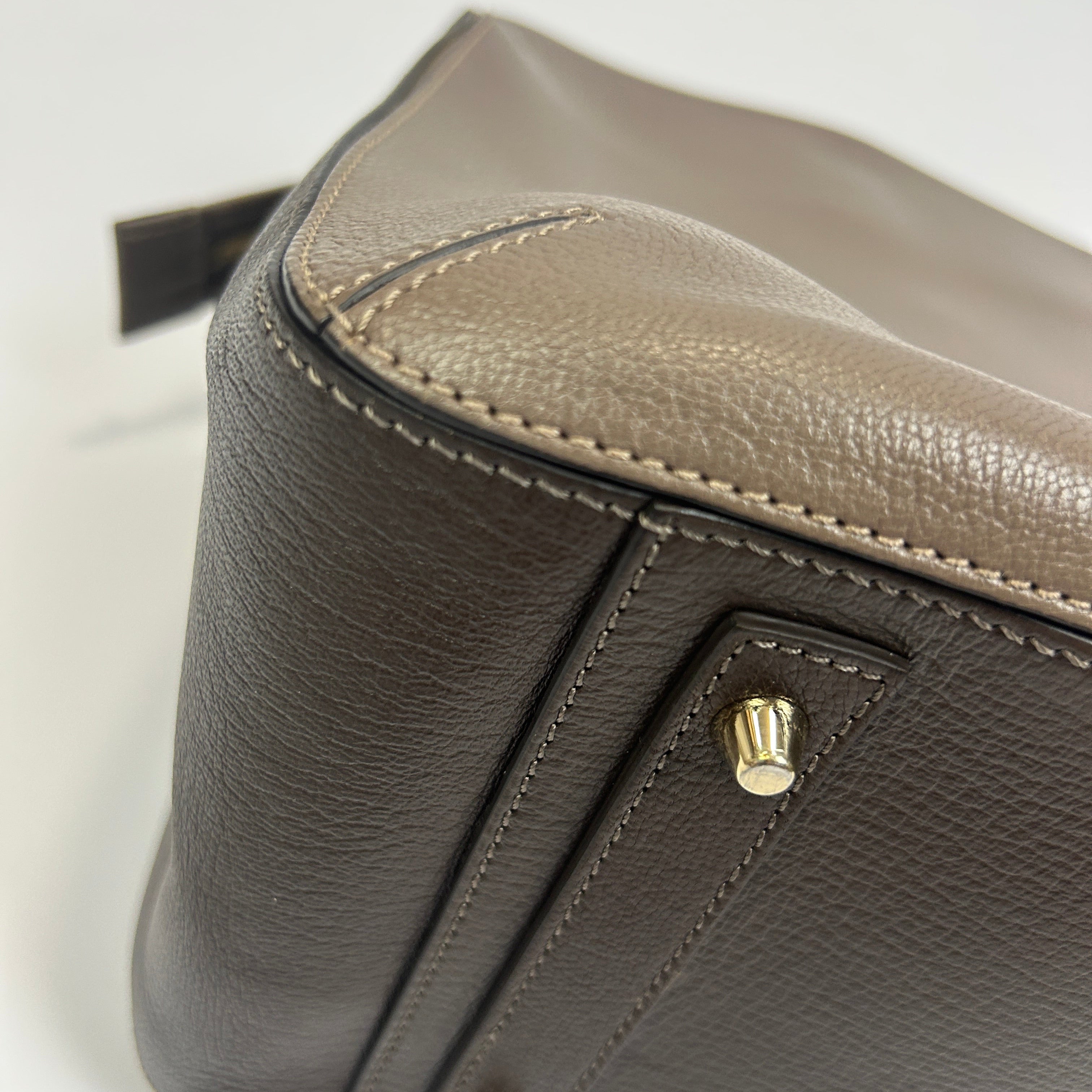 Anya Hindmarch Taupe & Cocoa Calf Albion Tote Bag