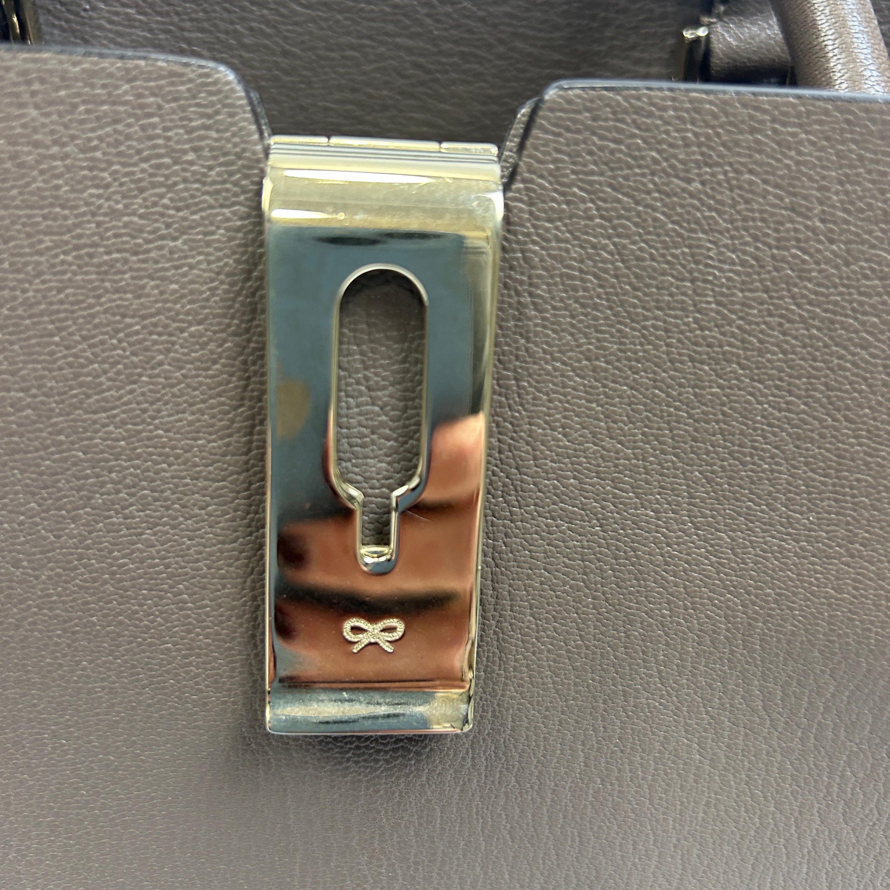 Anya Hindmarch Taupe & Cocoa Calf Albion Tote Bag